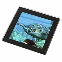 Turtle by Coral Black Rim High Quality Glass Coaster