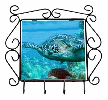 Turtle by Coral Wrought Iron Key Holder Hooks
