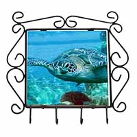 Turtle by Coral Wrought Iron Key Holder Hooks