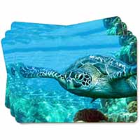 Turtle by Coral Picture Placemats in Gift Box