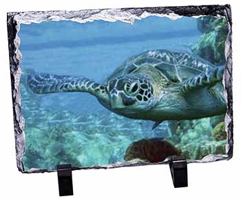 Turtle by Coral, Stunning Photo Slate