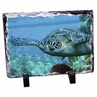 Turtle by Coral, Stunning Photo Slate