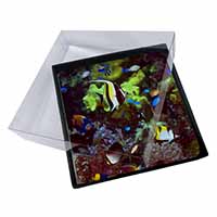 4x Tropical Fish Picture Table Coasters Set in Gift Box