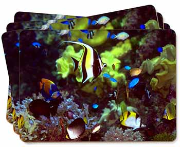 Tropical Fish Picture Placemats in Gift Box