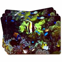 Tropical Fish Picture Placemats in Gift Box - Advanta Group®