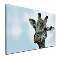Cheeky Giraffes Face Canvas X-Large 30"x20" Wall Art Print