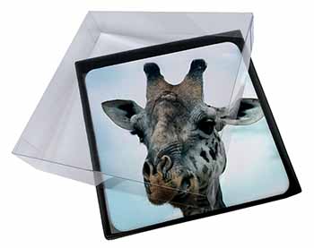 4x Cheeky Giraffes Face Picture Table Coasters Set in Gift Box