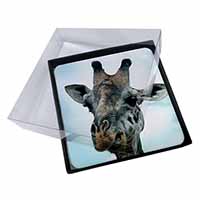 4x Cheeky Giraffes Face Picture Table Coasters Set in Gift Box