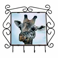 Cheeky Giraffes Face Wrought Iron Key Holder Hooks