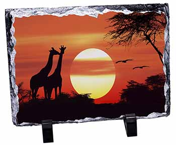 Sunset Giraffes, Stunning Photo Slate