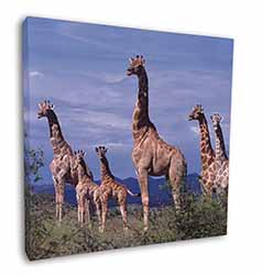 Giraffes Square Canvas 12"x12" Wall Art Picture Print