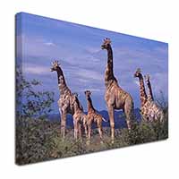 Giraffes Canvas X-Large 30"x20" Wall Art Print