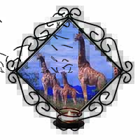 Giraffes Wrought Iron Wall Art Candle Holder