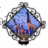 Giraffes Wrought Iron Wall Art Candle Holder