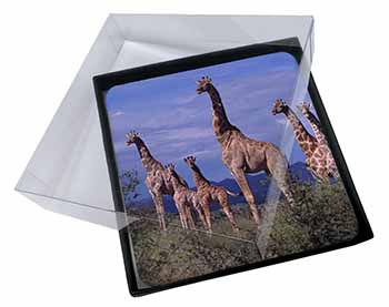 4x Giraffes Picture Table Coasters Set in Gift Box