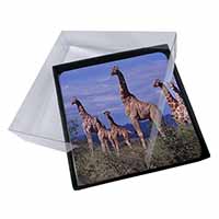 4x Giraffes Picture Table Coasters Set in Gift Box