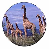 Giraffes Fridge Magnet Printed Full Colour