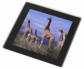 Giraffes Black Rim High Quality Glass Coaster