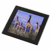 Giraffes Black Rim High Quality Glass Coaster