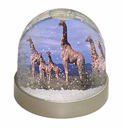 Giraffes Snow Globe Photo Waterball