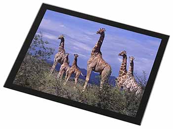 Giraffes Black Rim High Quality Glass Placemat