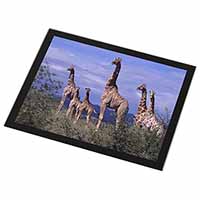 Giraffes Black Rim High Quality Glass Placemat