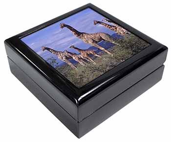 Giraffes Keepsake/Jewellery Box