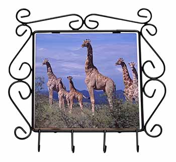 Giraffes Wrought Iron Key Holder Hooks