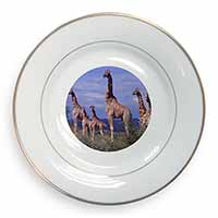 Giraffes Gold Rim Plate Printed Full Colour in Gift Box