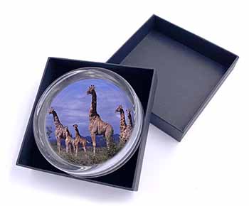 Giraffes Glass Paperweight in Gift Box