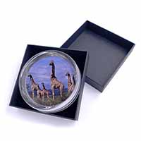 Giraffes Glass Paperweight in Gift Box