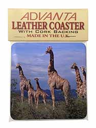 Giraffes Single Leather Photo Coaster