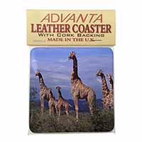 Giraffes Single Leather Photo Coaster