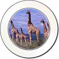 Giraffes Car or Van Permit Holder/Tax Disc Holder