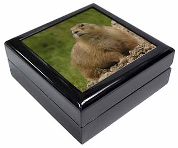 Groundhog-Prairie Dog Keepsake/Jewellery Box