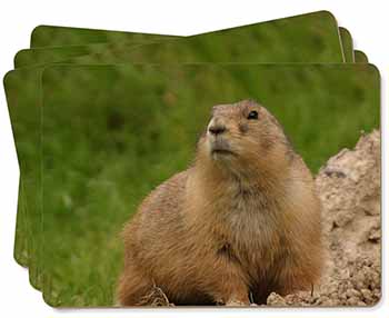 Groundhog-Prairie Dog Picture Placemats in Gift Box