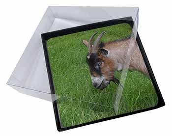 4x Cheeky Goat Picture Table Coasters Set in Gift Box