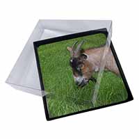 4x Cheeky Goat Picture Table Coasters Set in Gift Box