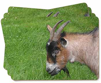 Cheeky Goat Picture Placemats in Gift Box