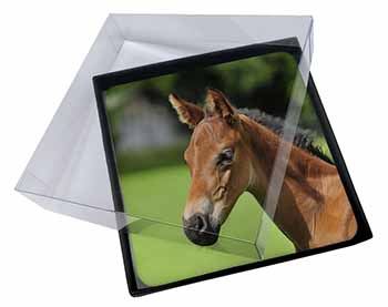 4x Pretty Foal Horse Picture Table Coasters Set in Gift Box