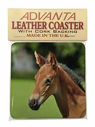 Pretty Foal Horse Single Leather Photo Coaster