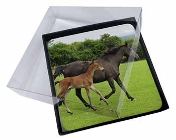 4x Mare with Newborn Foal Picture Table Coasters Set in Gift Box