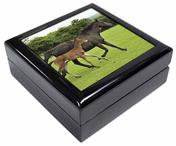 Mare with Newborn Foal Keepsake/Jewellery Box