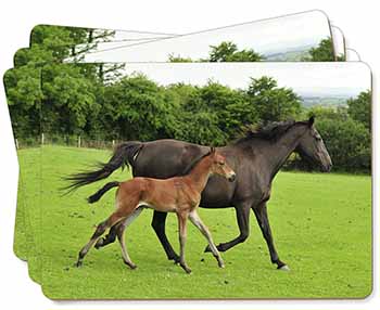 Mare with Newborn Foal Picture Placemats in Gift Box