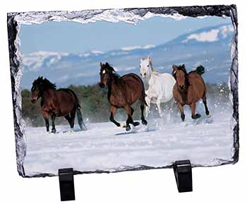 Running Horses in Snow, Stunning Photo Slate