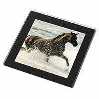 Black Horse in Sea Black Rim High Quality Glass Coaster