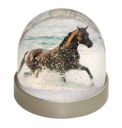 Black Horse in Sea Snow Globe Photo Waterball