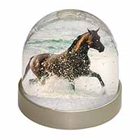 Black Horse in Sea Snow Globe Photo Waterball
