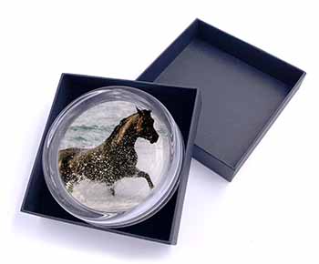 Black Horse in Sea Glass Paperweight in Gift Box