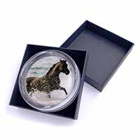 Black Horse in Sea Glass Paperweight in Gift Box